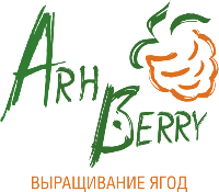 Arh Berry