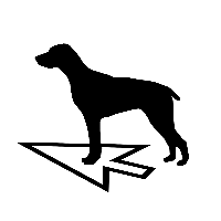 Пойнтер