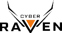 Cyber raven vision