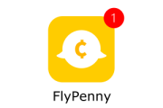 FlyPenny Team