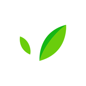 bambook