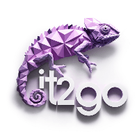 ИТ-школа IT2GO