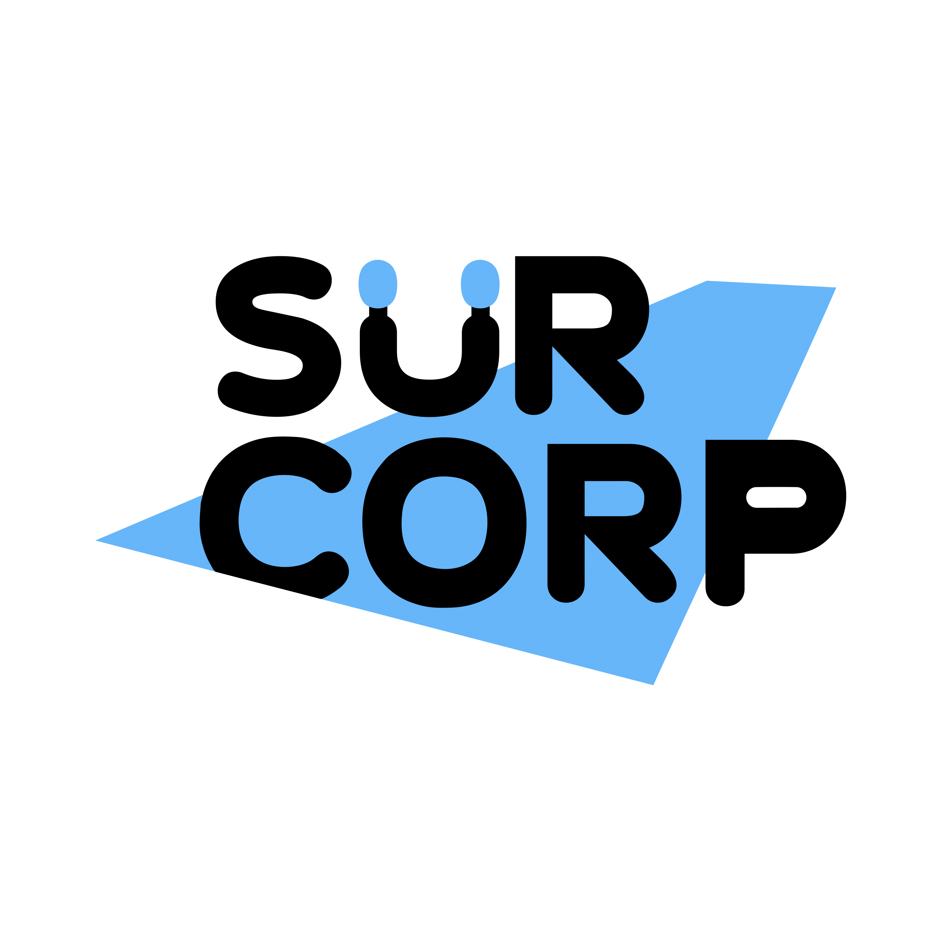 SurCorp
