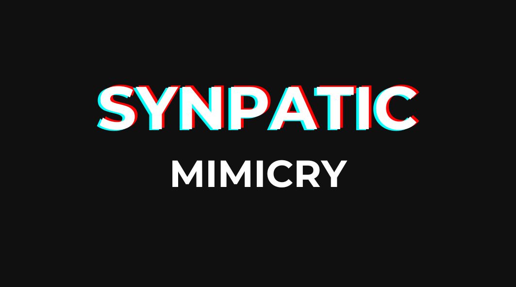 Synpatic