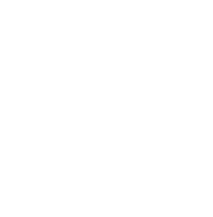 YouChip
