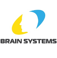 Brain Systems