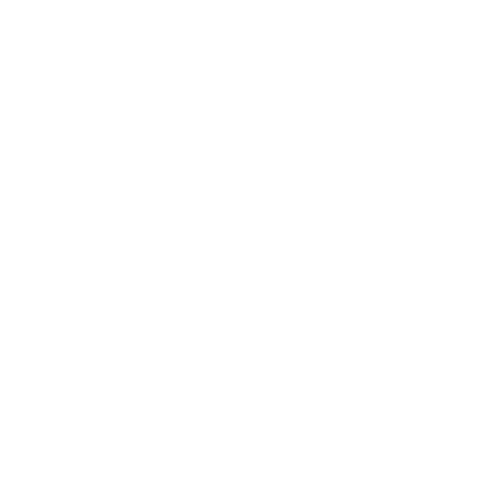 Silkins