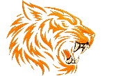 BlackTiger