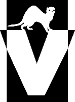 Ferretvideo