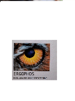 Ergophos