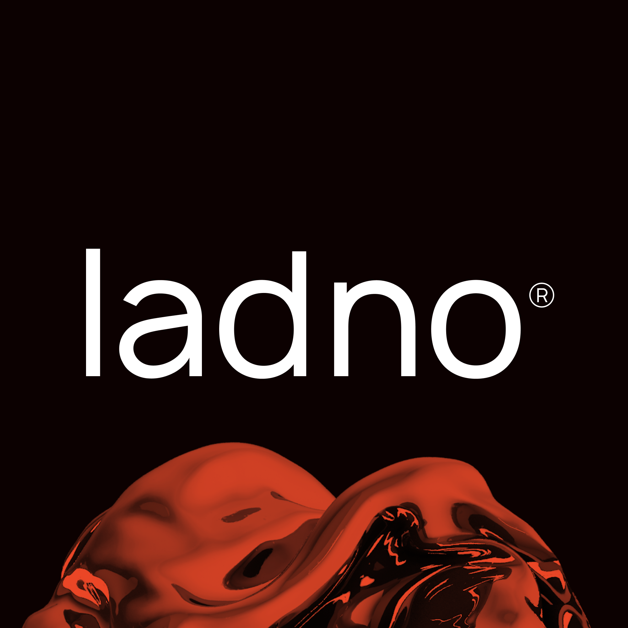 LadnoAssistants