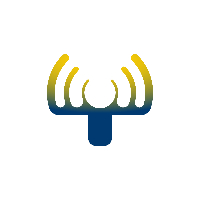 Radarvision